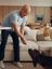 Andre Agassi spielt mit seinem Hund in einem modernen Wohnzimmer, während seine Katze sich auf dem Sofa entspannt – während der SILVERCREST-Kampagne.