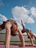 Two people in a bridge pose on pink CRIVIT yoga mats against a blue sky