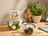 Recipientes para almacenar alimentos SILVERCREST con tapas herméticas, mostrados en la encimera de una cocina con verduras frescas y aceitunas.