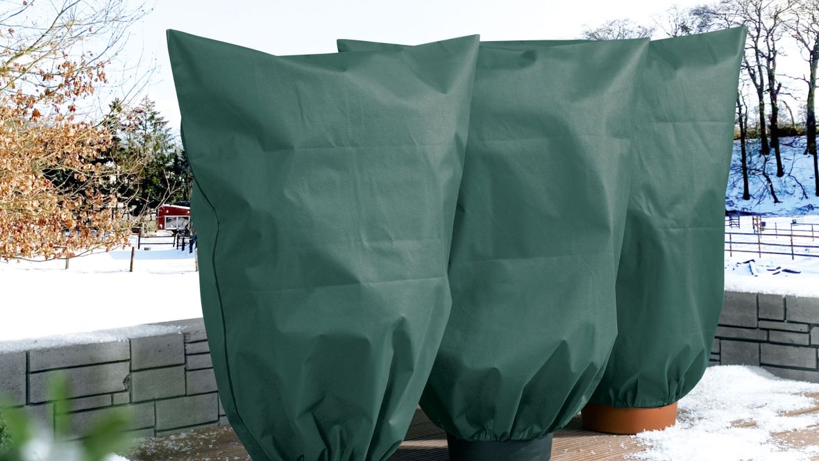 Comment Protéger Ses Plantes Pour L'hiver? - Du Jardin Dans Ma Vie